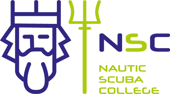Logo_NSC